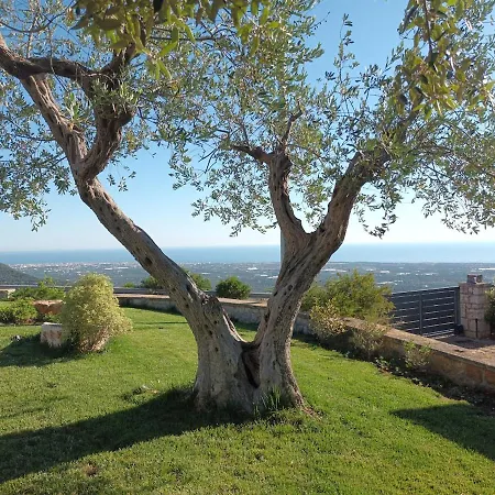 Panoramic Trulli With Swimming Pool In *
