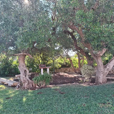 Panoramic Trulli With Swimming Pool In Villa *