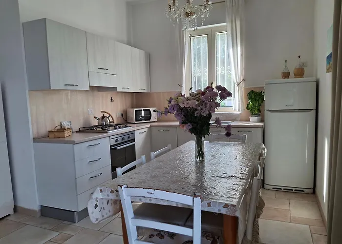 Villa Panoramic Trulli With Swimming Pool In Monopoli